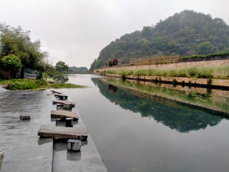 縱身一躍！金誠汽車員工勇救落水兒童