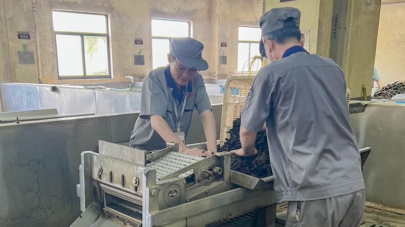 【匠心浙農(nóng)】中藥生產(chǎn)的排頭兵&mdash;&mdash;景岳堂員工汪濤八年三崗專注中藥工藝攻堅