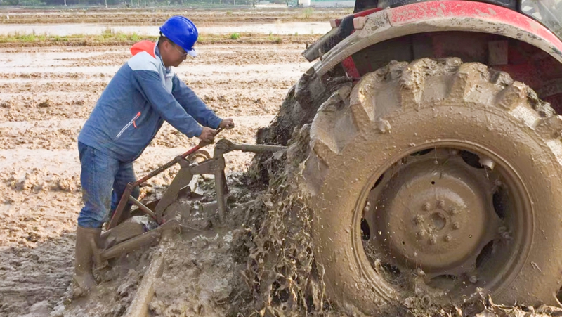 【匠心浙農(nóng)】 浙農(nóng)科技岱山項目負責人馬琨：把&ldquo;鹽堿田&rdquo;變&ldquo;致富田&rdquo;