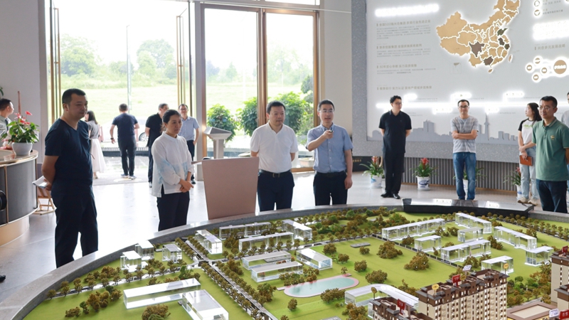 成都市新都區調研組到華都&middot;翡麗悅府項目調研